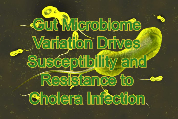 מיקרוביום מגוון מונע&nbsp;זיהומים