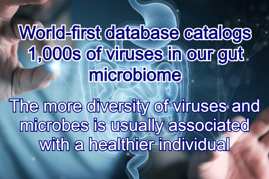 מדענים מבינים את חשיבות המקרופאגים –&nbsp;וירום