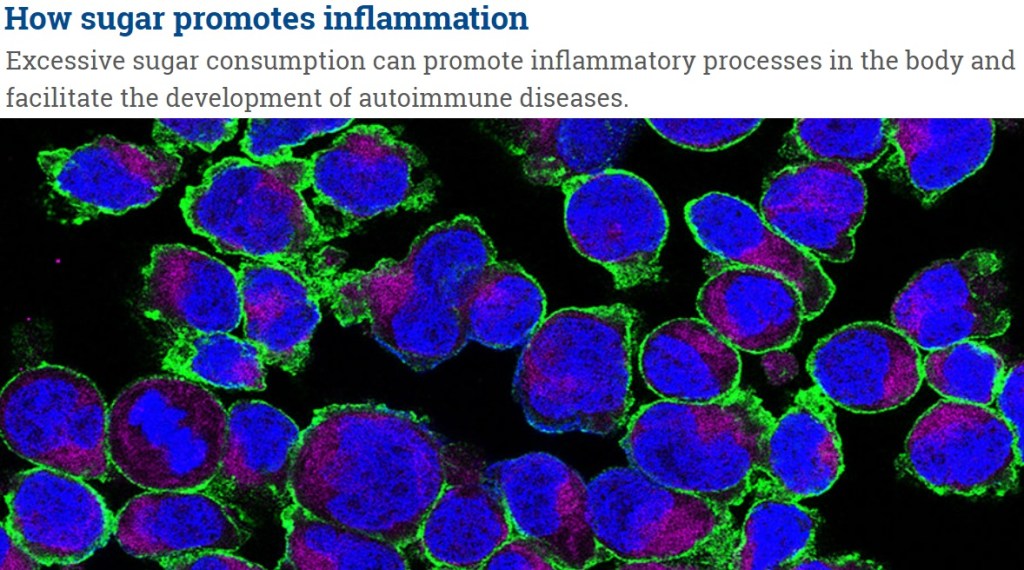 סוכר מעובד מעלה שכיחות לדלקות במעיים ומקדם מחלות&nbsp;אוטואימוניות