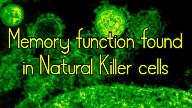 לאיזו קבוצה משתייכים תאי הרג טבעי (Natural Killer) – למולדת או לנרכשת?