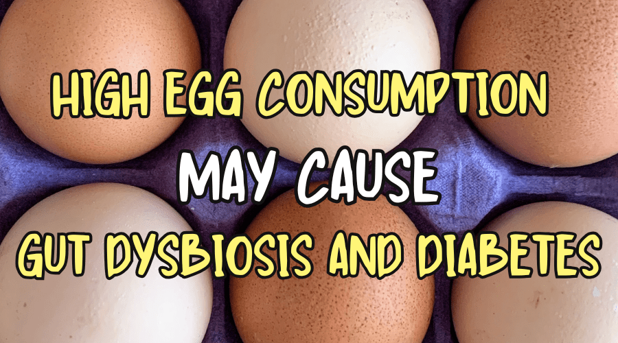 ביצים סוכרת ומיקרוביום