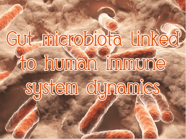 חשיבות המיקרוביום לשיקום מערכת החיסון עקב טיפולים מדכאי חיסון (השתלות תאי גזע ומח&nbsp;עצם)