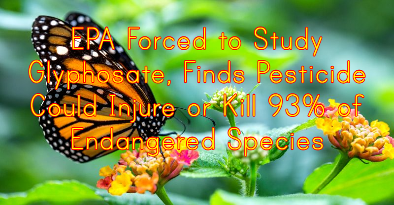 לאחר שה-EPA הוכרח לבחון את נזקי הגלייפוסט הוא מצא שעשוי לפגוע ולהרוג 93% מהמינים הנמצאים בסכנת&nbsp;הכחדה