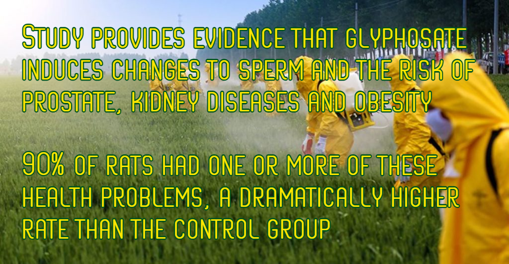 חשיפה לקוטל העשבים הנפוץ גלייפוסט גורמת לשינויים גנטיים בחולדות שניתן לקשר למחלות בדורות&nbsp;הבאים