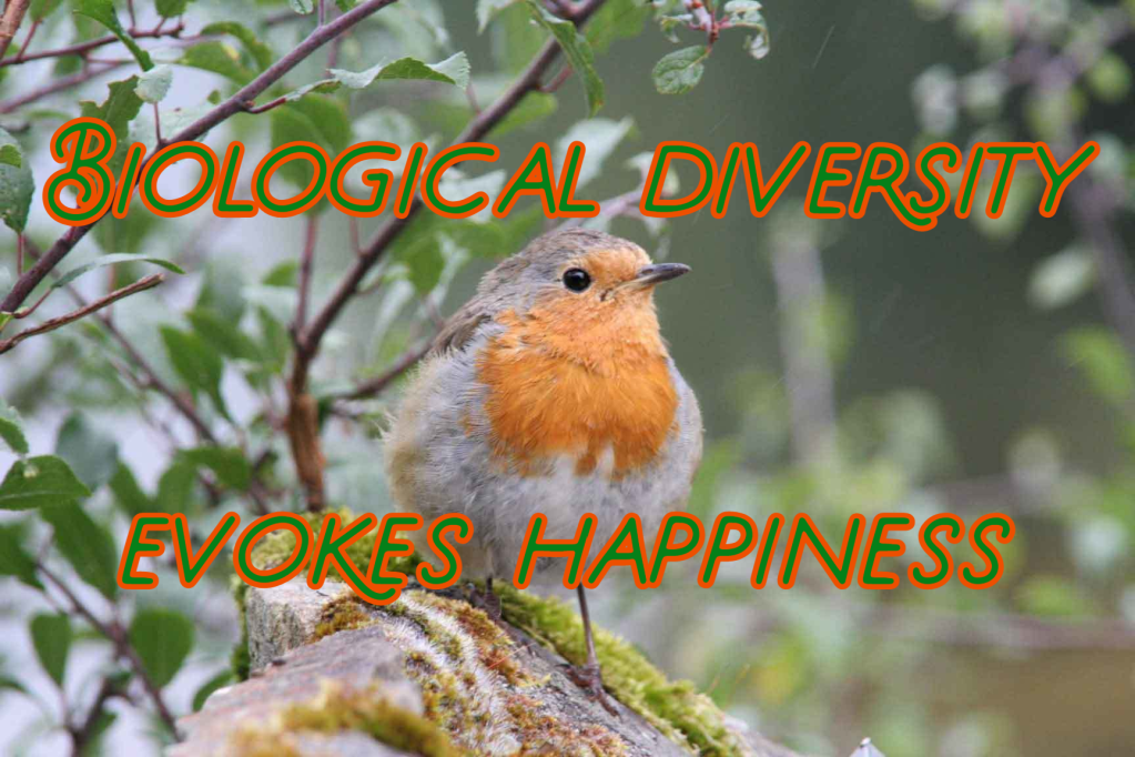 חשיפה למיני ציפורים ועופות מגדילה שביעות רצון לחיים ושיפור מצב הרוח יותר מרמת&nbsp;ההכנסה