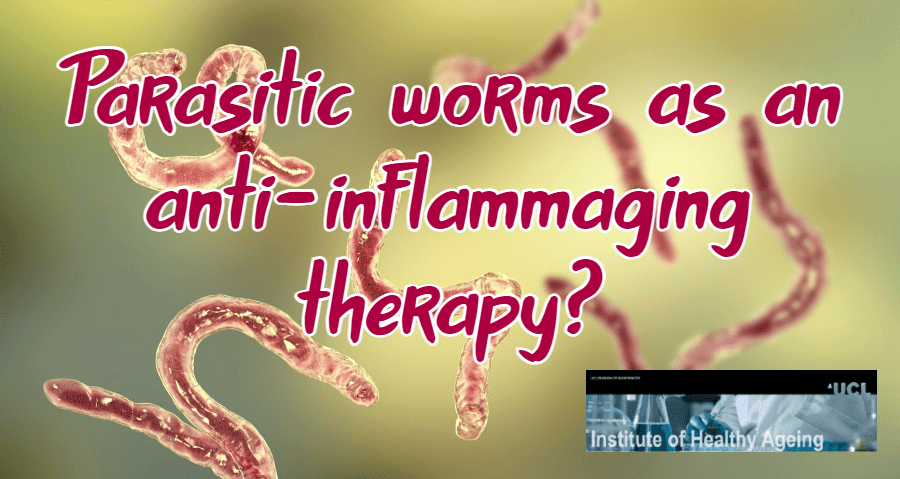 האם טפילי מעיים תורמים להזדקנות טובה ותהליכי ריפוי אחרים?