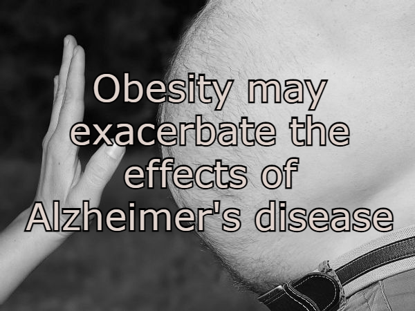 השמנת יתר ואלצהיימר
