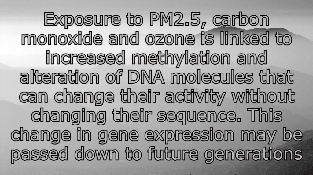 זיהום אוויר מעמיד ילדים בסיכון גבוה יותר למחלות בבגרותם ועשוי לעבור גם לדורות&nbsp;הבאים