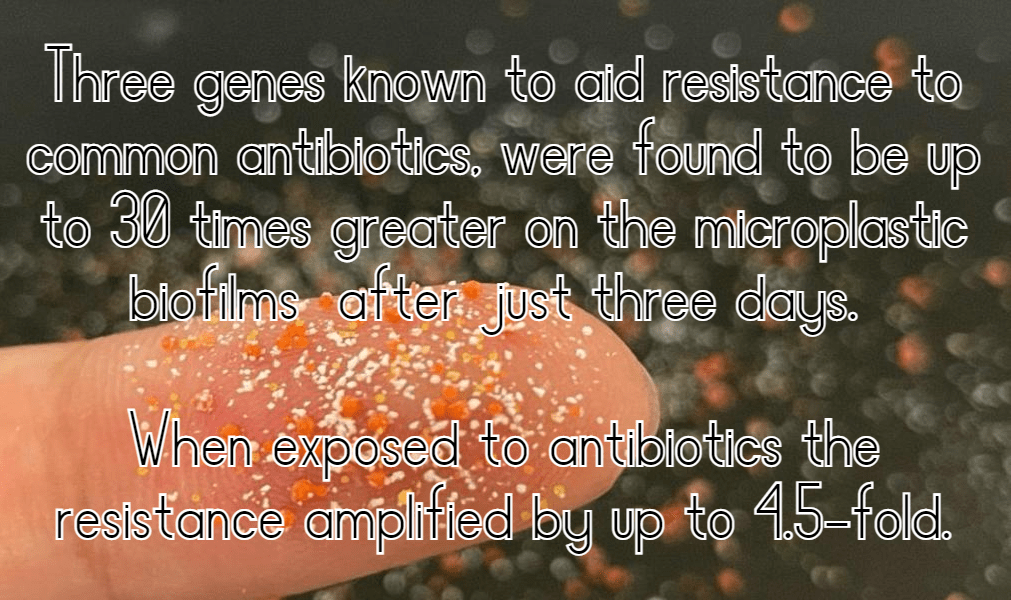 מיקרופלסטיק מעשיר חיידקים עמידים&nbsp;לאנטיביוטיקה