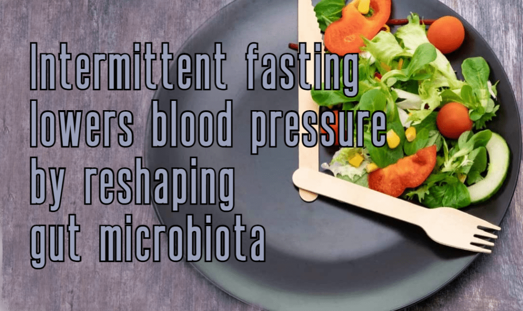 צום מקוטע מוריד לחץ דם גבוה על ידי עיצוב מחדש של&nbsp;המיקרוביום