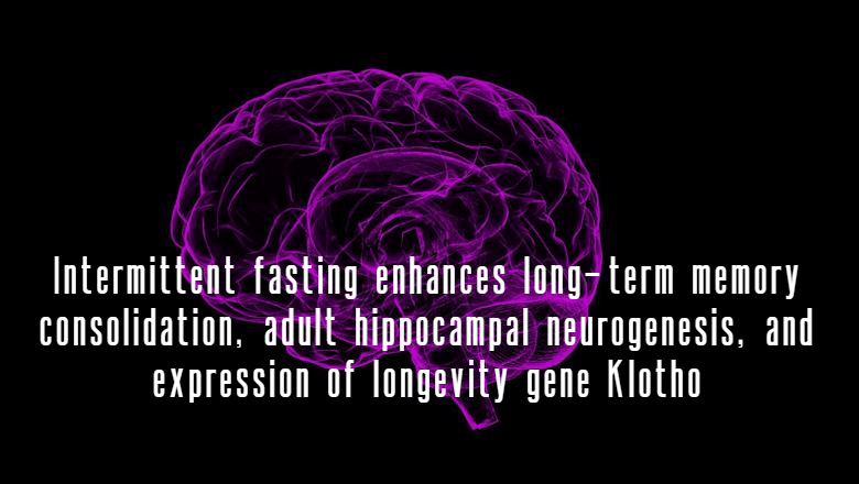 צום לסירוגין משפר את הזיכרון לטווח הארוך ומשפר את הנוירוגנזה&nbsp;בהיפוקמפוס