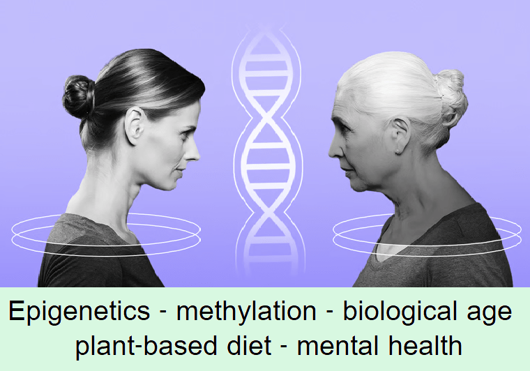 אפיגנטיקה – מתילציה – גיל ביולוגי – תזונה מבוססת צומח – בריאות&nbsp;הנפש