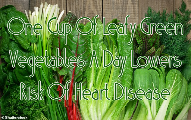 עלים ירוקים ומזונות שמכילים חנקות מורידים סיכון למחלות כלי דם, לב ושבץ&nbsp;איסכמי