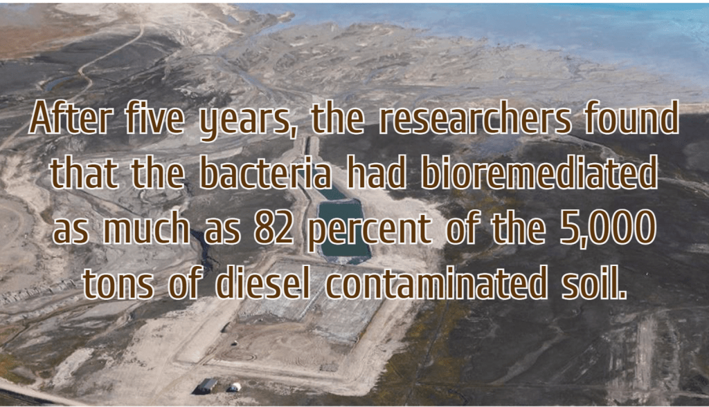 חיידקים בשירות אקולוגי – זיהום דיזל&nbsp;בגרינלנד