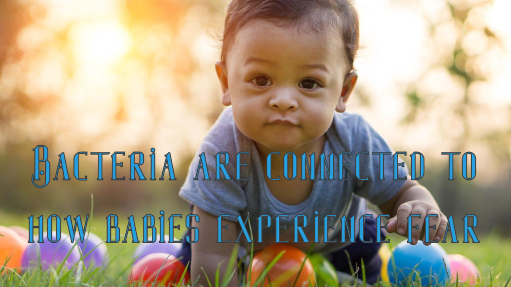 מיקרוביום המעי קשור לאיך תינוקות חווים&nbsp;פחד