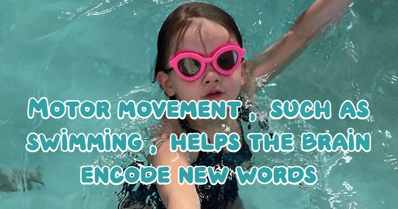 פעילות גופנית בילדות עשויה לשפר את אוצר&nbsp;המילים