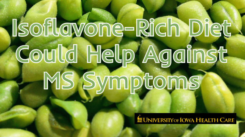 תזונה מבוססת צומח (איזופלבונים) בשילוב עם מיקרוביום בריא עשויה להגן מפני טרשת נפוצה