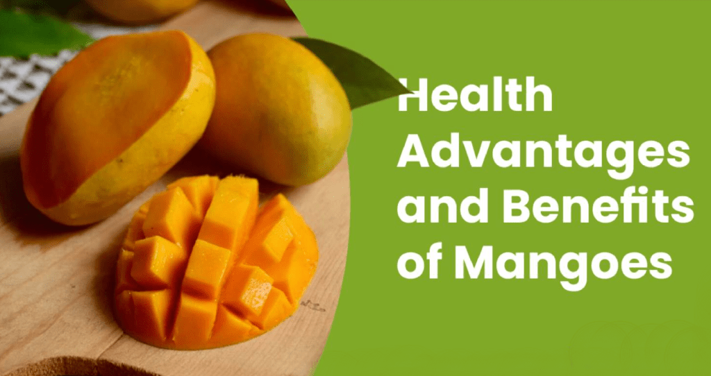 מנגו – מזון פרהביוטי עשיר בפוליפנולים ועם הרבה סגולות&nbsp;בריאותיות