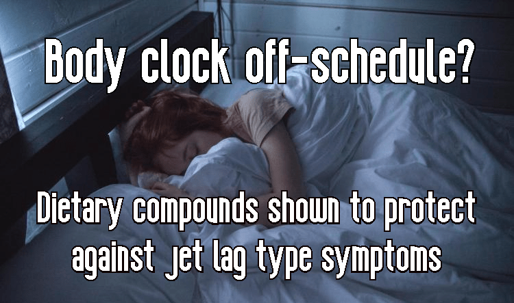 השעון הביולוגי יצא מאיזון? פרהביוטיקה עשויה לתת&nbsp;מענה