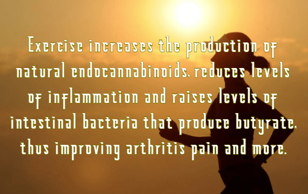 פעילות גופנית – דלקות פרקים – מיקרוביום –&nbsp;אנדוקנבינואידים