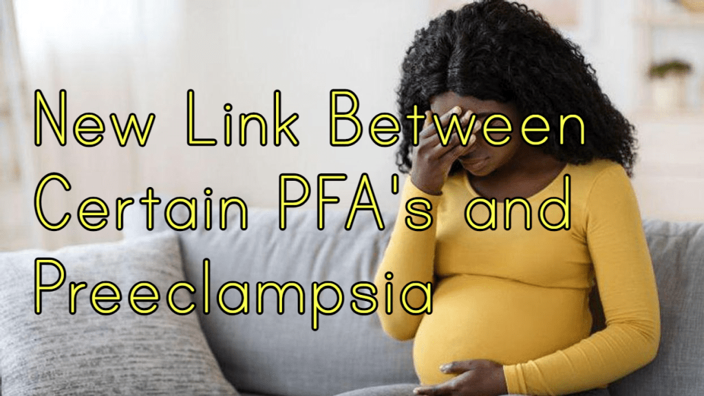 הקשר בין חומרים אורגניים מופלרים (PFAs) בתחילת ההריון ביחס לתתי סוגים של רעלת&nbsp;הריון