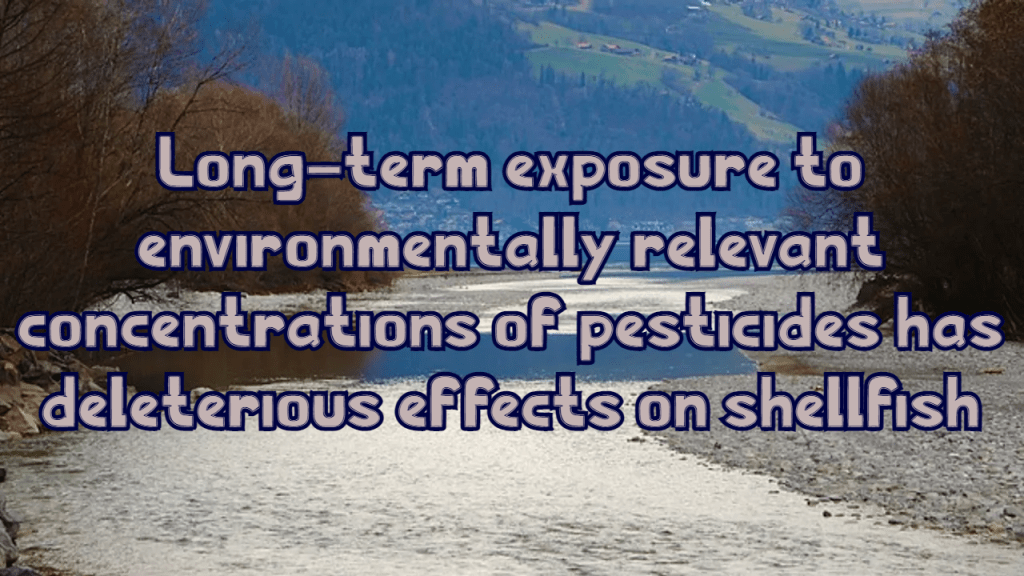 לחשיפה ארוכת טווח לחומרי הדברה יש השפעות מזיקות על&nbsp;רכיכות