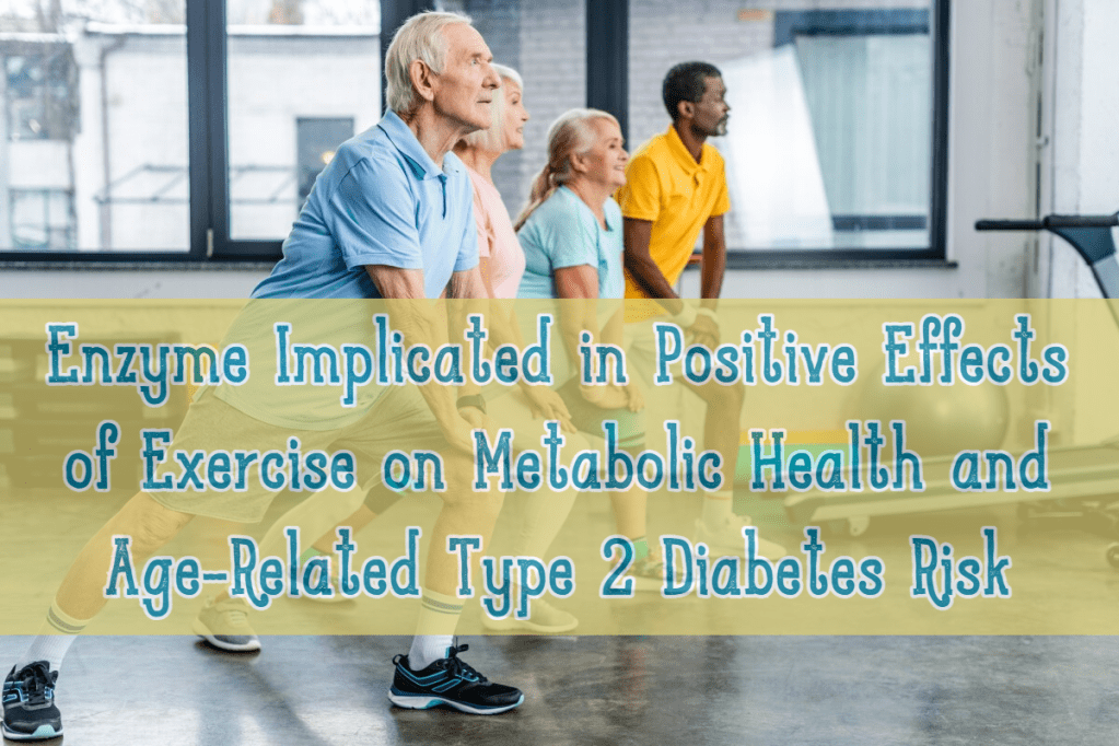 המפתח לאופן שבו פעילות גופנית מגינה מפני סוכרת ויתר מחלות מטבוליות