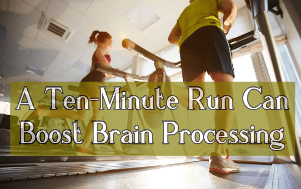 ריצה של עשר דקות מגבירה את יכולת העיבוד של&nbsp;המוח
