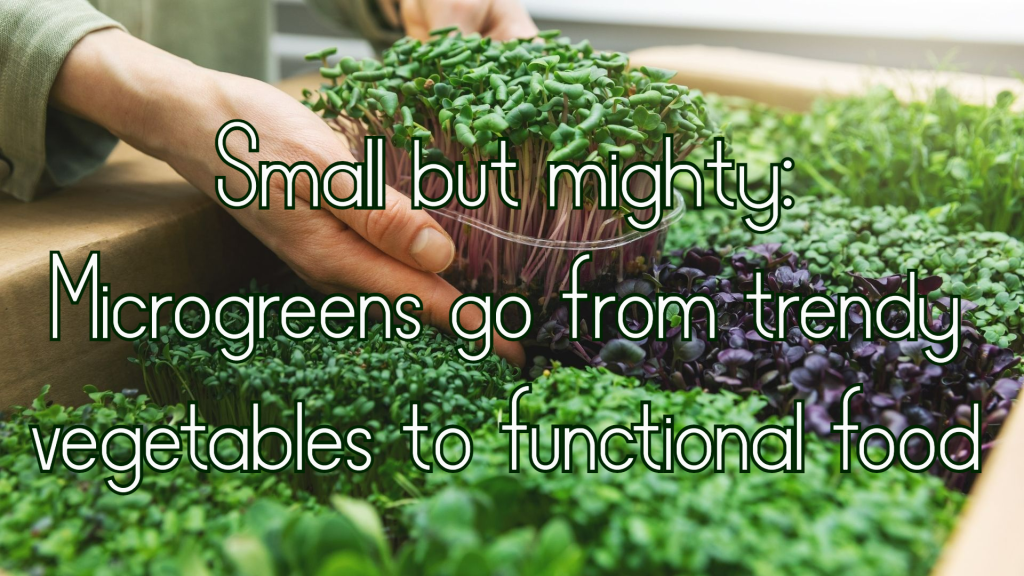 מיקרוגרין (microgreens) – מזון&nbsp;פונקציונלי