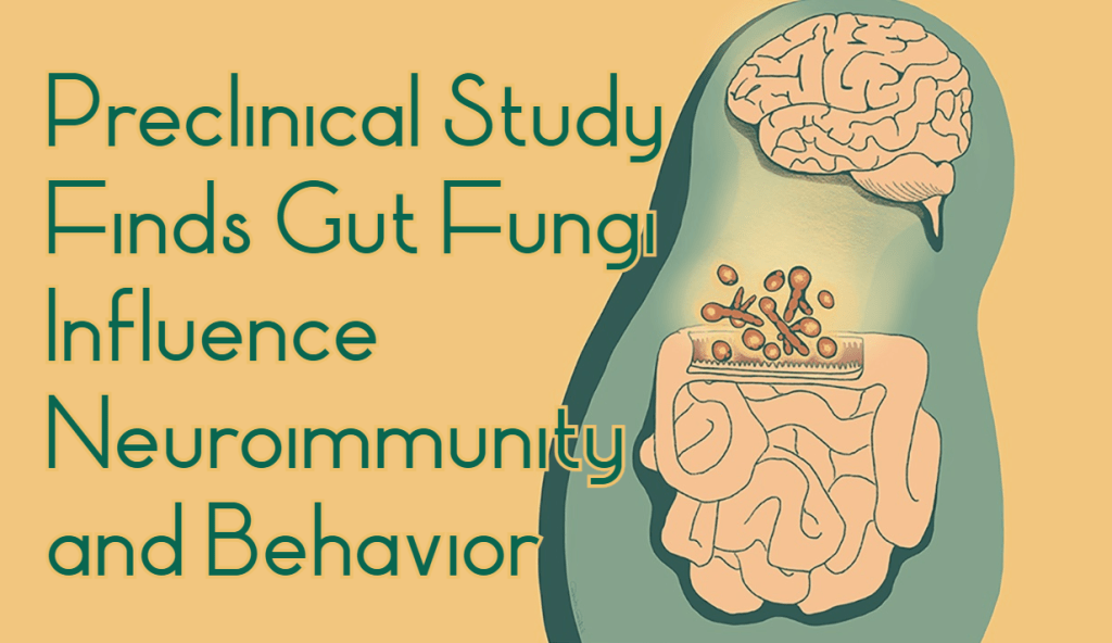 מחקר פרה-קליני מגלה שפטריות מעיים משפיעות על המערכת הנוירו-אימוניות ועל&nbsp;ההתנהגות