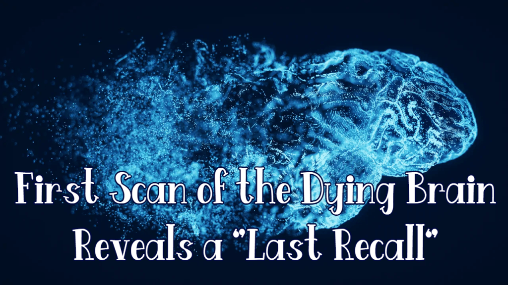 האם חיינו מהבהבים לנגד עינינו בזמן המוות?