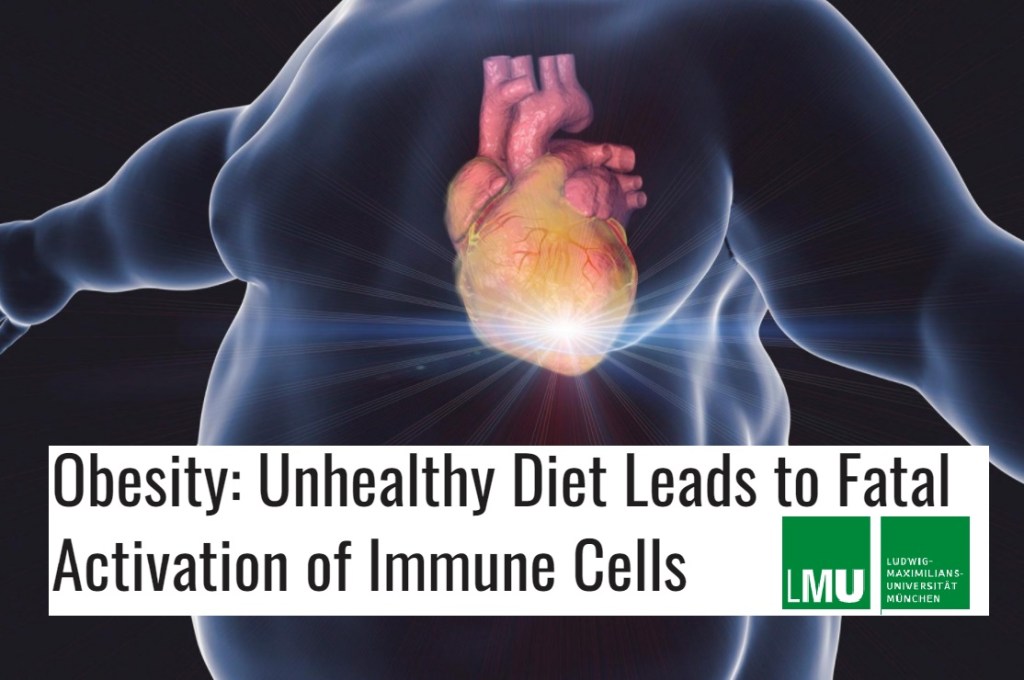 תזונה לא בריאה מובילה להפעלה קטלנית של תאי מערכת&nbsp;החיסון