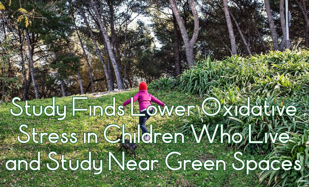 מחקר מצא עקה חמצונית נמוכה יותר בילדים שחיים ולומדים ליד שטחים&nbsp;ירוקים