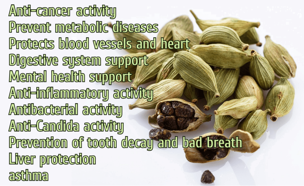 הל מכיל חומר פעיל (Cardamonin) שיכול להרוג תאי סרטן שד אגרסיביים משולשים שליליים – ומה עוד?