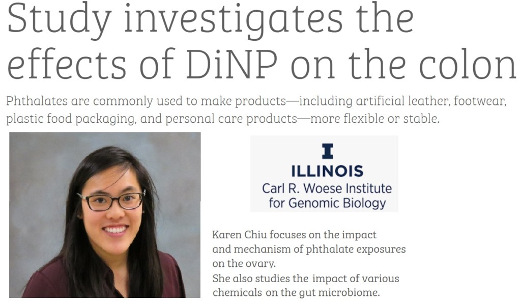 השפעת פתלאטים על המעי הגס ומערכת החיסון&nbsp;שבו