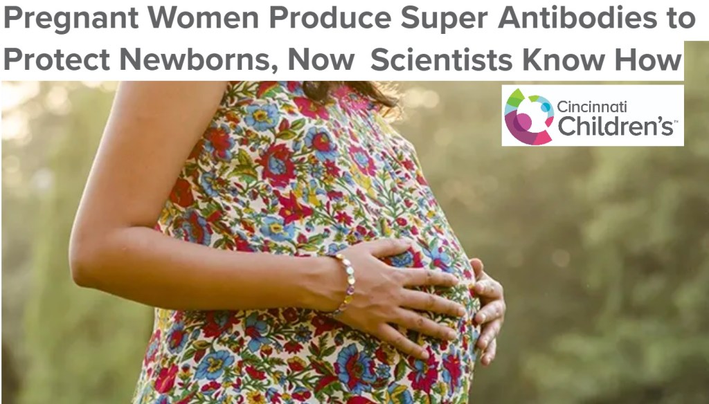 נשים בהריון מייצרות נוגדני על כדי להגן על התינוקות מזיהום תוך&nbsp;תאי