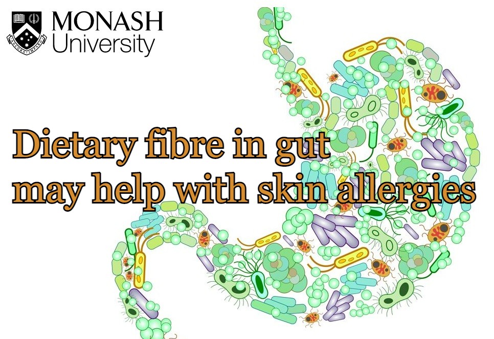 סיבים תזונתיים עשויים לעזור לאלרגיות בעור ולאטופיק&nbsp;דרמטיטיס