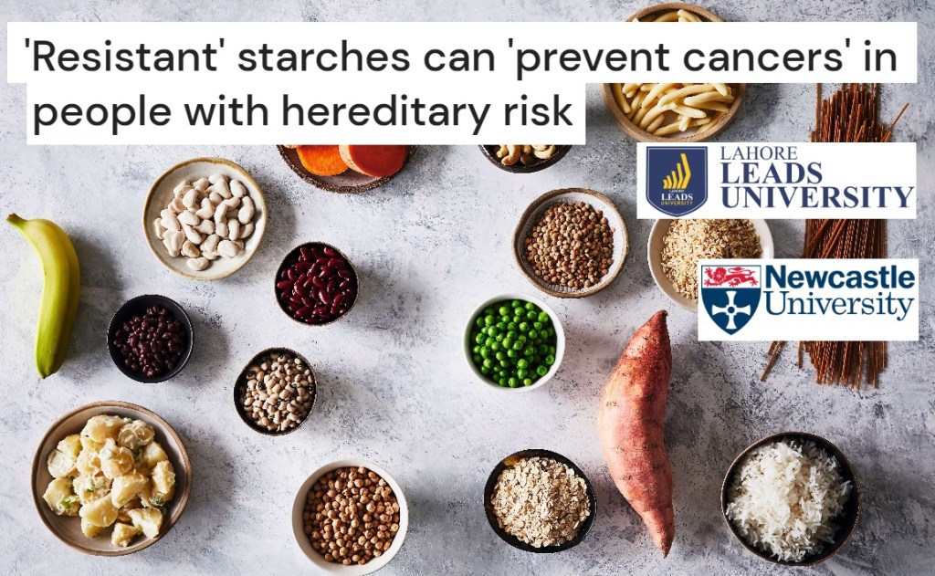 עמילנים – טוב או&nbsp;רע?