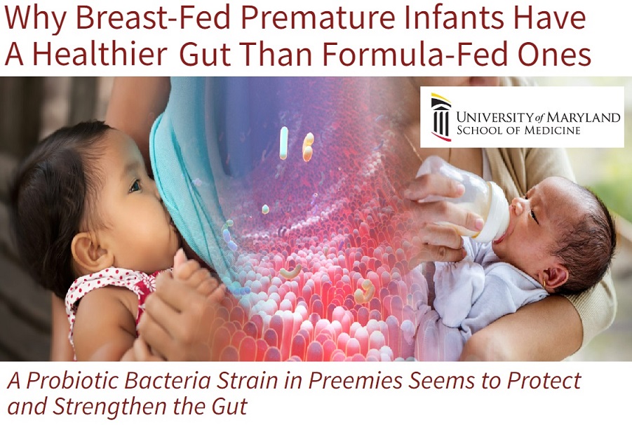 חלב אם לפגים תורם להתבגרות מחסום המעיים ולבריאות&nbsp;המעי