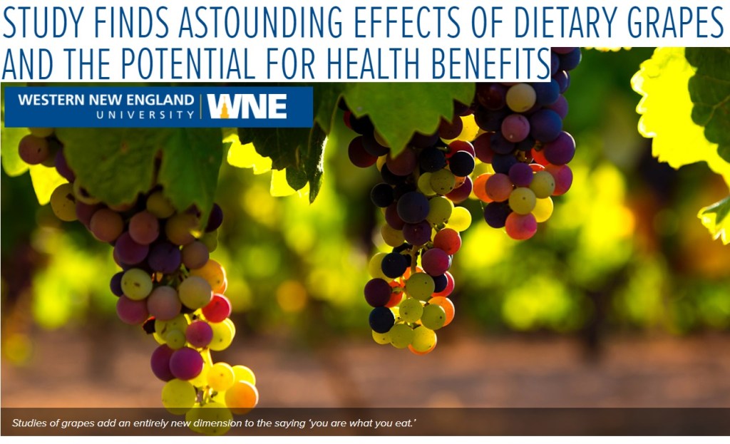 לענבים יש יתרונות בריאותיים&nbsp;מדהימים