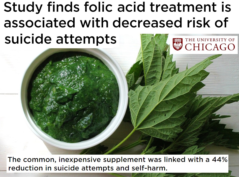 טיפול בחומצה פולית נמצא מוריד סיכון&nbsp;לאובדנות