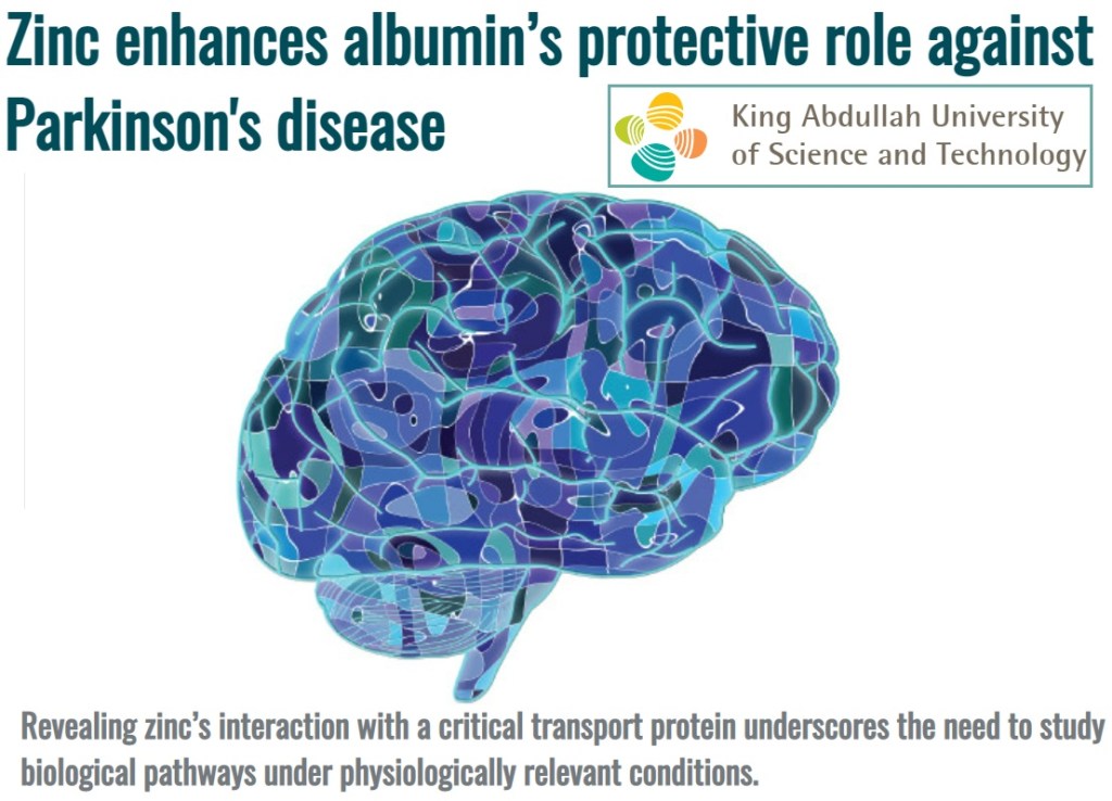 הקשר בין אבץ&nbsp;לפרקינסון
