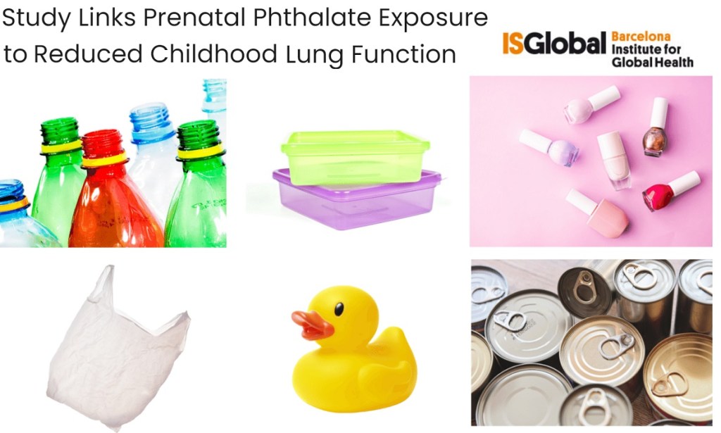 חשיפה לפתלטים ברחם קשורה לירידה בתפקוד הריאות במהלך הילדות