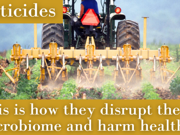 הדברה: כך היא משבשת את המיקרוביום ופוגעת&nbsp;בבריאות