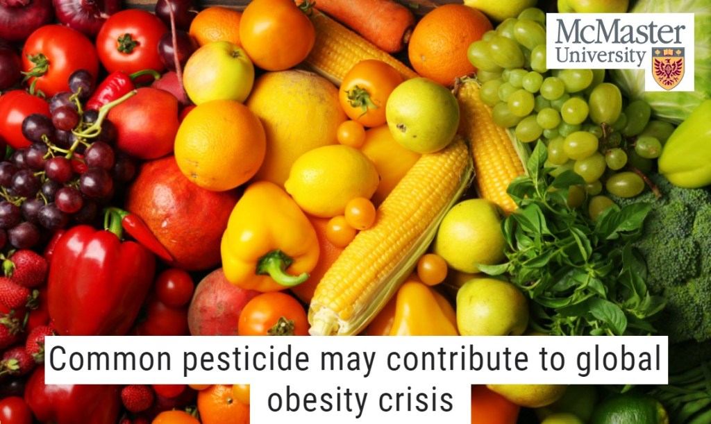 חומרי הדברה ממשפחת אורגנופוספאטים תורמים למגפת ההשמנה&nbsp;העולמית