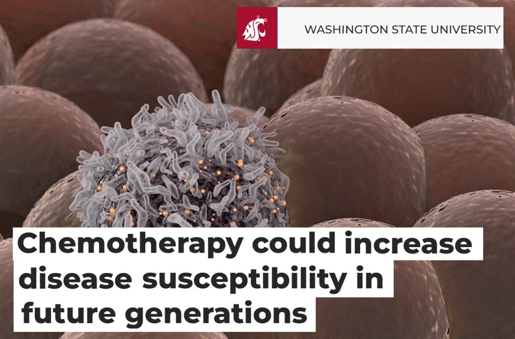 שימוש בכימותרפיה בתקופת ההתבגרות יכולה להגביר את הרגישות למחלות בדורות&nbsp;הבאים
