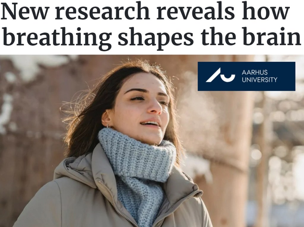 איך מקצבי נשימה מעצבים את המוח שלנו
