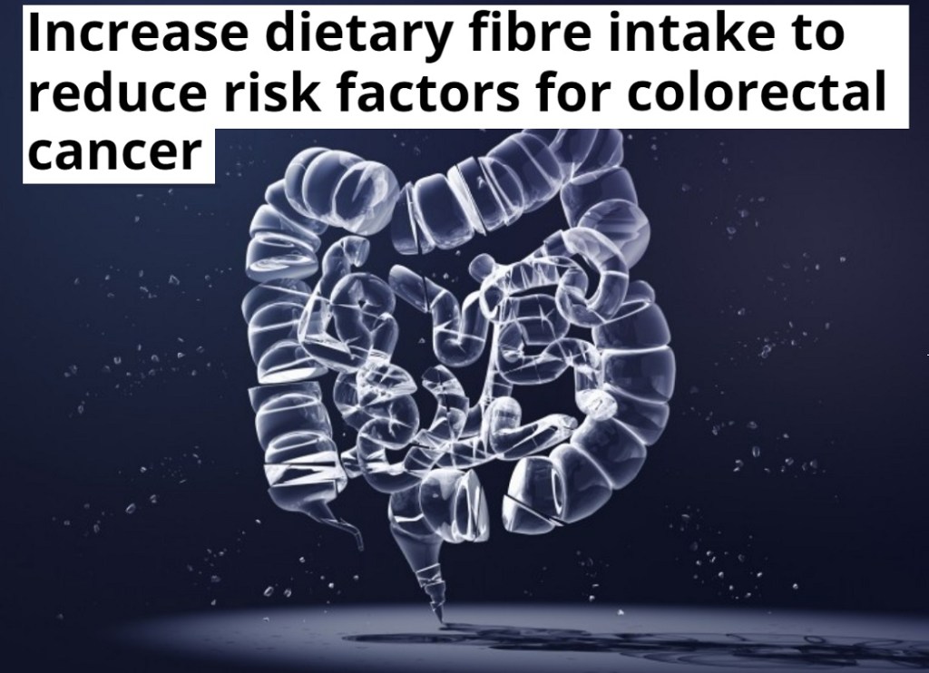 סיבים תזונתיים עשויים להפחית את נזקי ה-DNA לתאי אפיתל של המעי הגס ב-70% ולמנוע&nbsp;סרטן