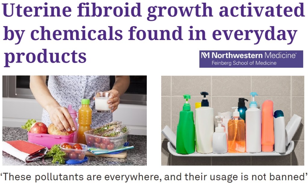 הקשר בין פתלטים למיומות ברחם – דרכים טבעיות למניעה&nbsp;ושיפור