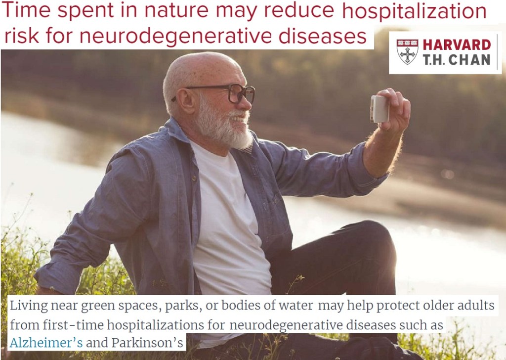 נראה שהחיים באזור עם גישה נוחה לפארקים ונהרות מורידים סיכון לאשפוז עקב מחלות כמו אלצהיימר&nbsp;ופרקינסון.